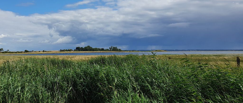 Naturschutzgebiet Fauler See auf der Insel Poel